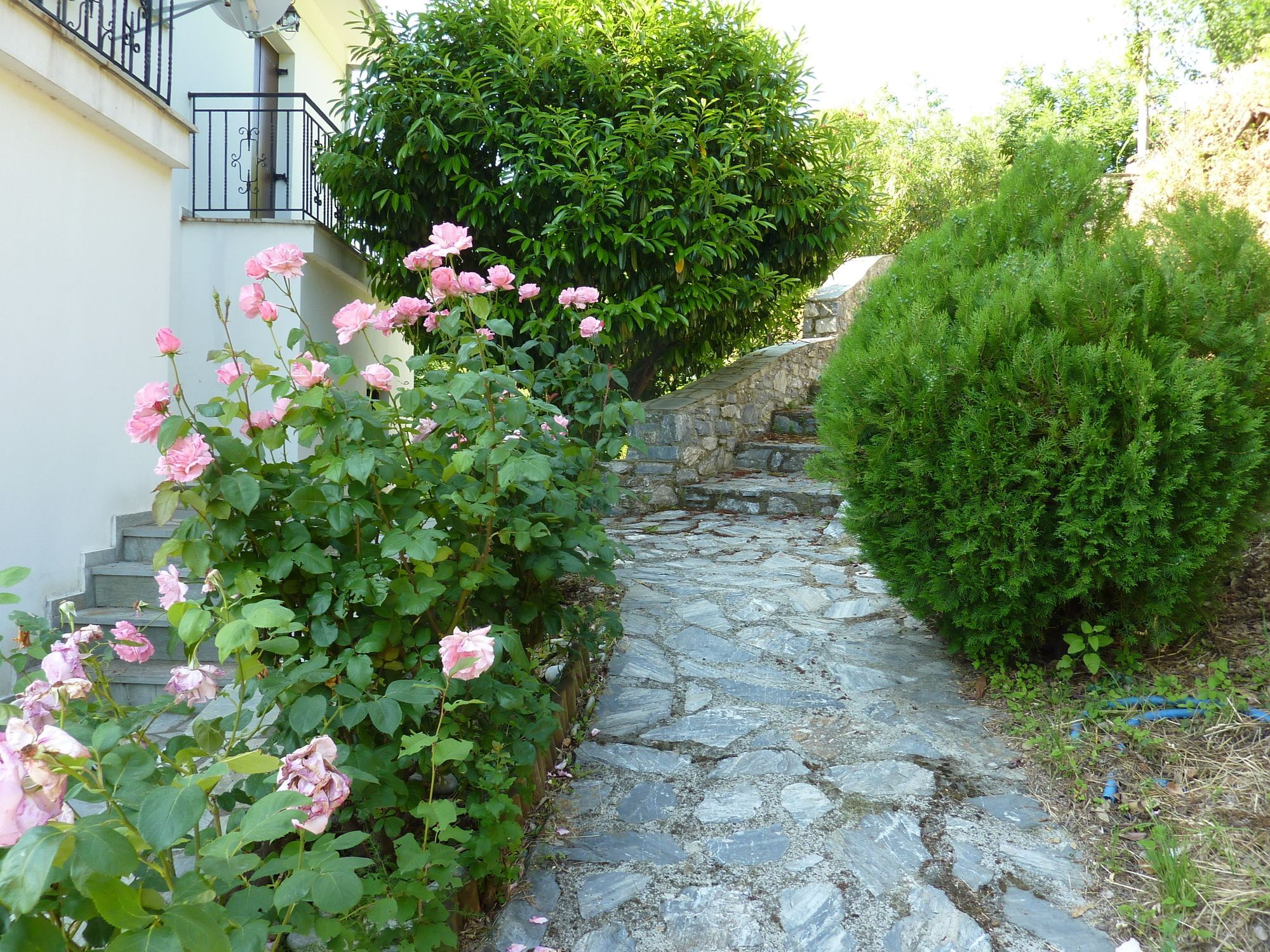 Villa Thea Makrirrákhi Exterior foto